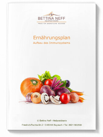 ebook-ernaehrungsplan